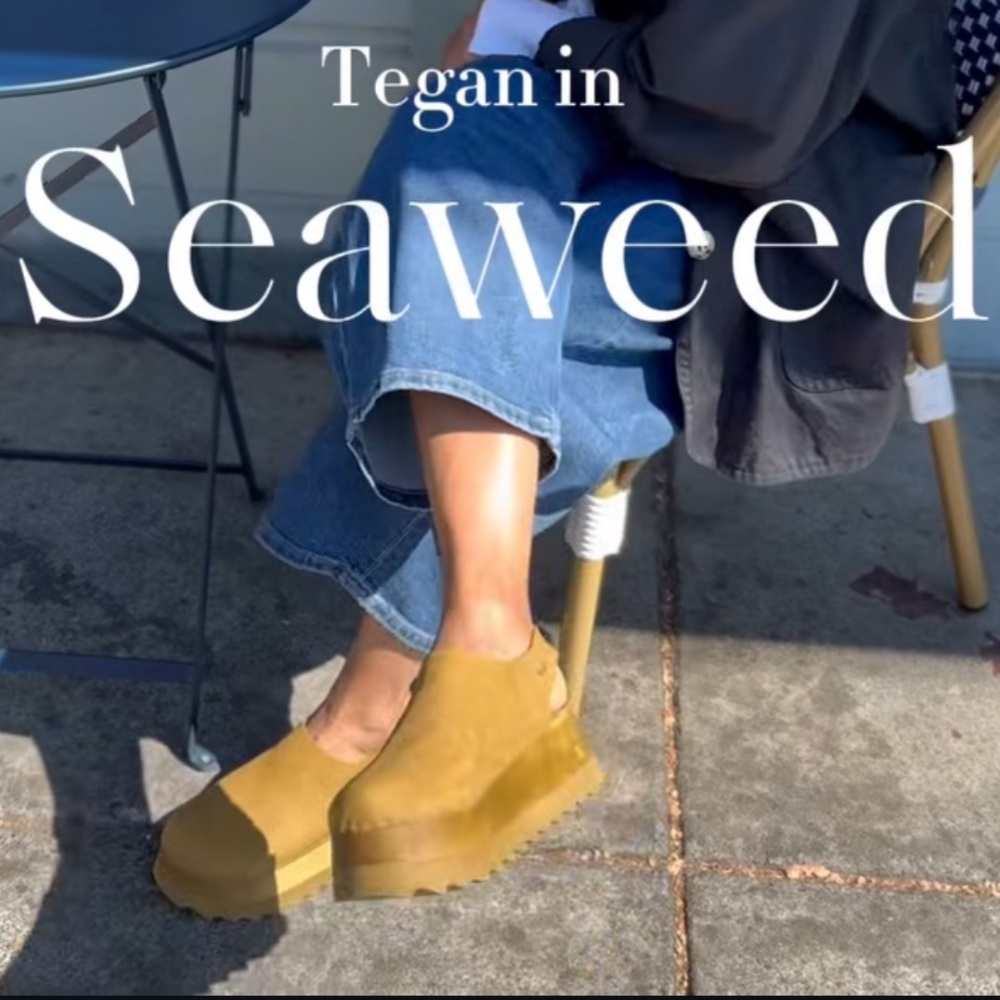 ✨EUC✨ rare Bryr discontinued limited Seaweed Chonk Tegan clogs size 38